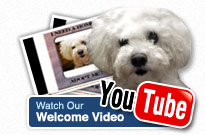 Watch Our Welcome Video