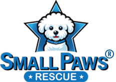 Small Paws Rescue