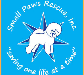 New Matching Challenges for 21 Years Of Small Paws Rescue! One is for $1000.00!