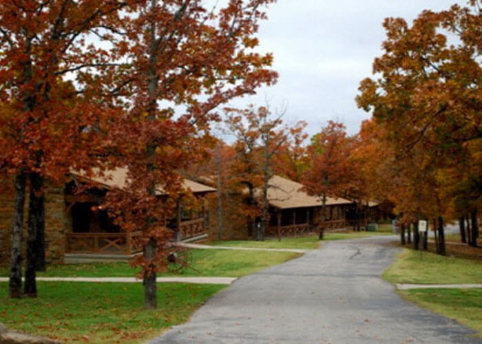 Small Paws Rescue Largest Breed Rescue in the Country