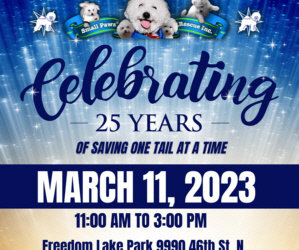 Small Paws® Rescue’s 25th Anniversary Bichon Bash Invitation! Pinellas Park, Florida on Saturday, March 11, 2023! Please Come If You Can. It Would Mean So Much To Me To Get To See You!! Dinner The Night Before! Thank You Vickie Inglee!