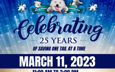 Personal. From Robin. Please Read. My Heart Dog, Reagan, Was Attacked By  Large Dog. (It’s Safe To Look)/ About The 25th Anniversary Bash In Terre Haute IN…